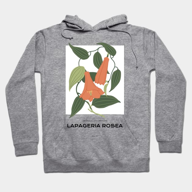 Lapageria Rosea Hoodie by JunkyDotCom